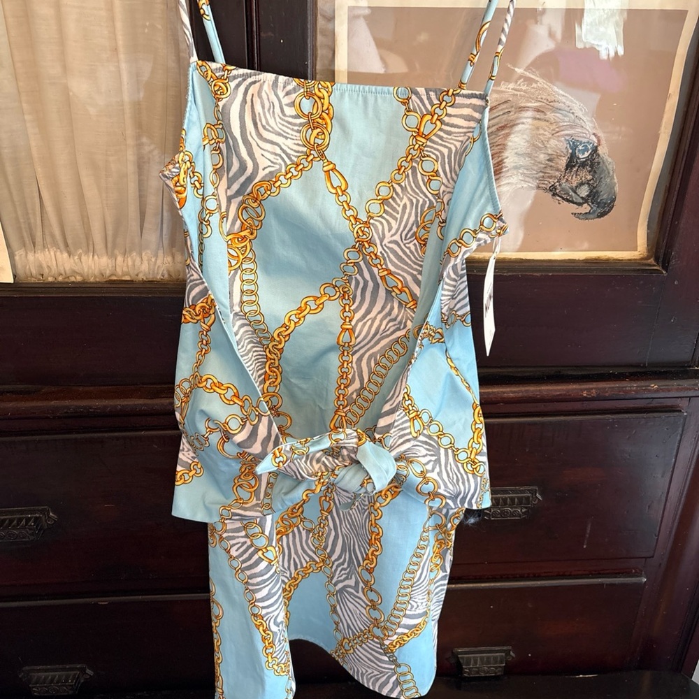 Show Me Your Mumu Light Blue Zebra Chain Print Dress NEW